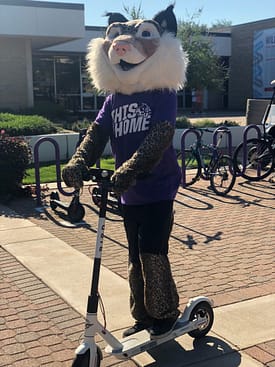 Willie the Wildcat tries out a Bird scooter in 2018.