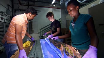 ACU students, faculty research at Fermilab