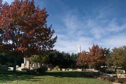 ACU is named a Tree Campus USA for the seventh year.